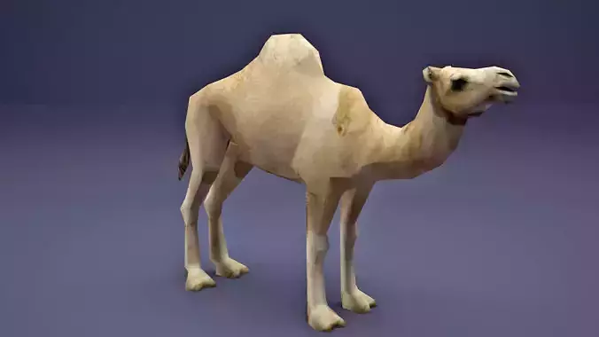 Low Poly Camel Model