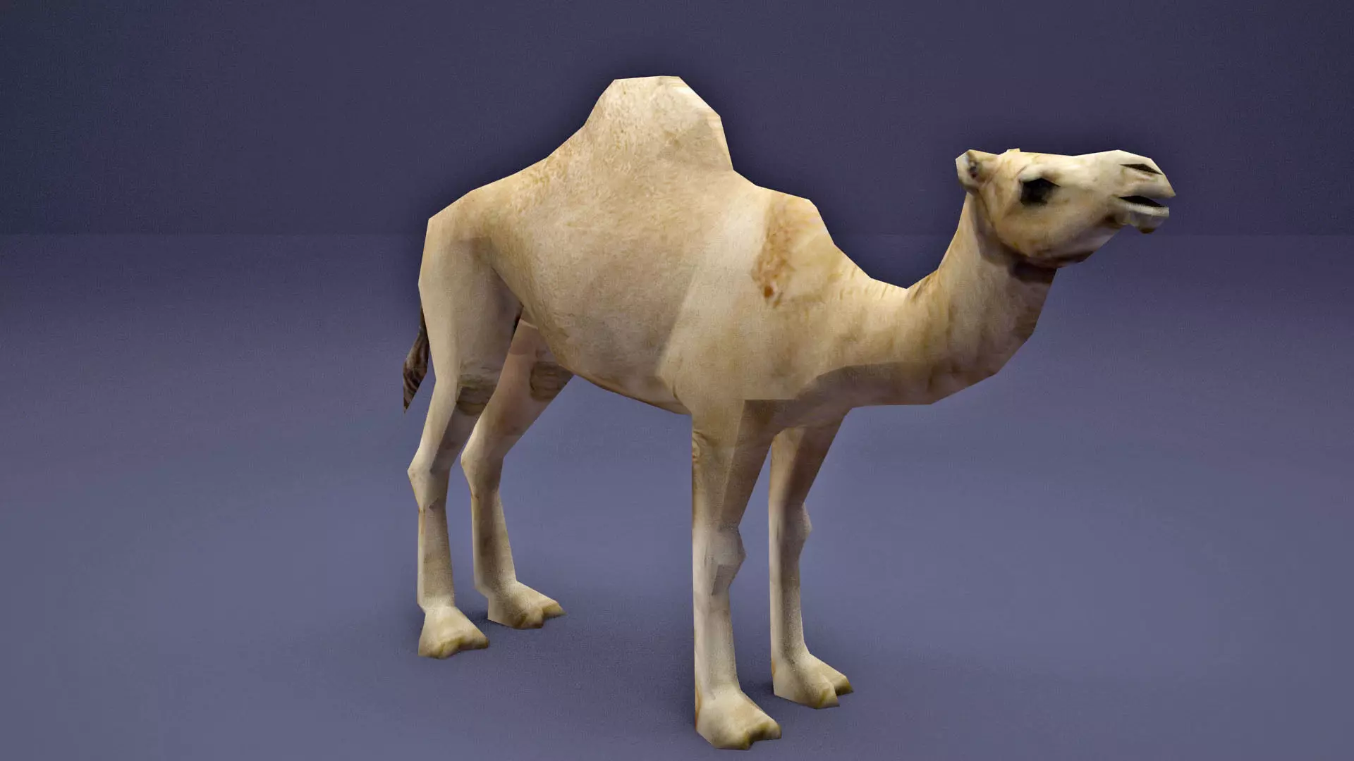 Low Poly Camel Model Low-poly 3D model