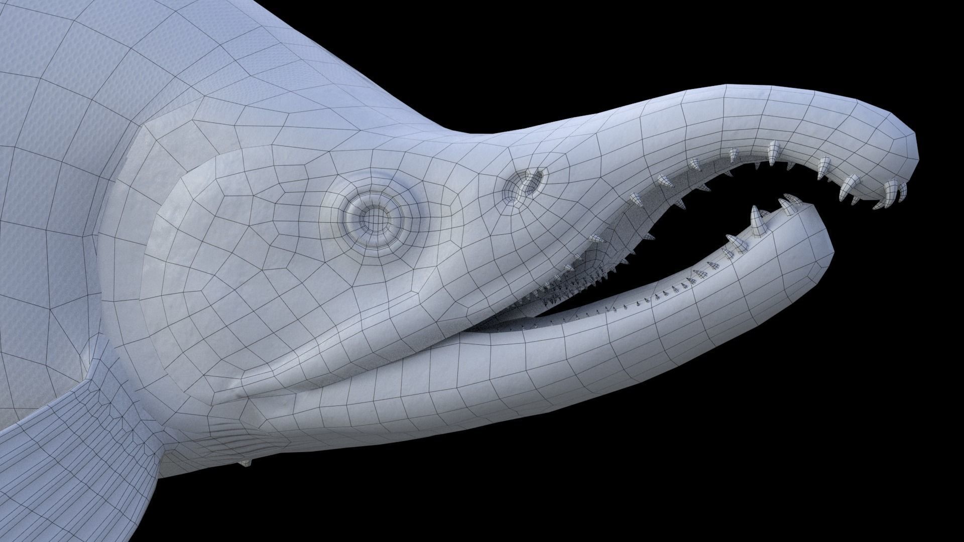 Oncorhynchus Nerka - The Red Sockeye Salmon Static 3D model_8