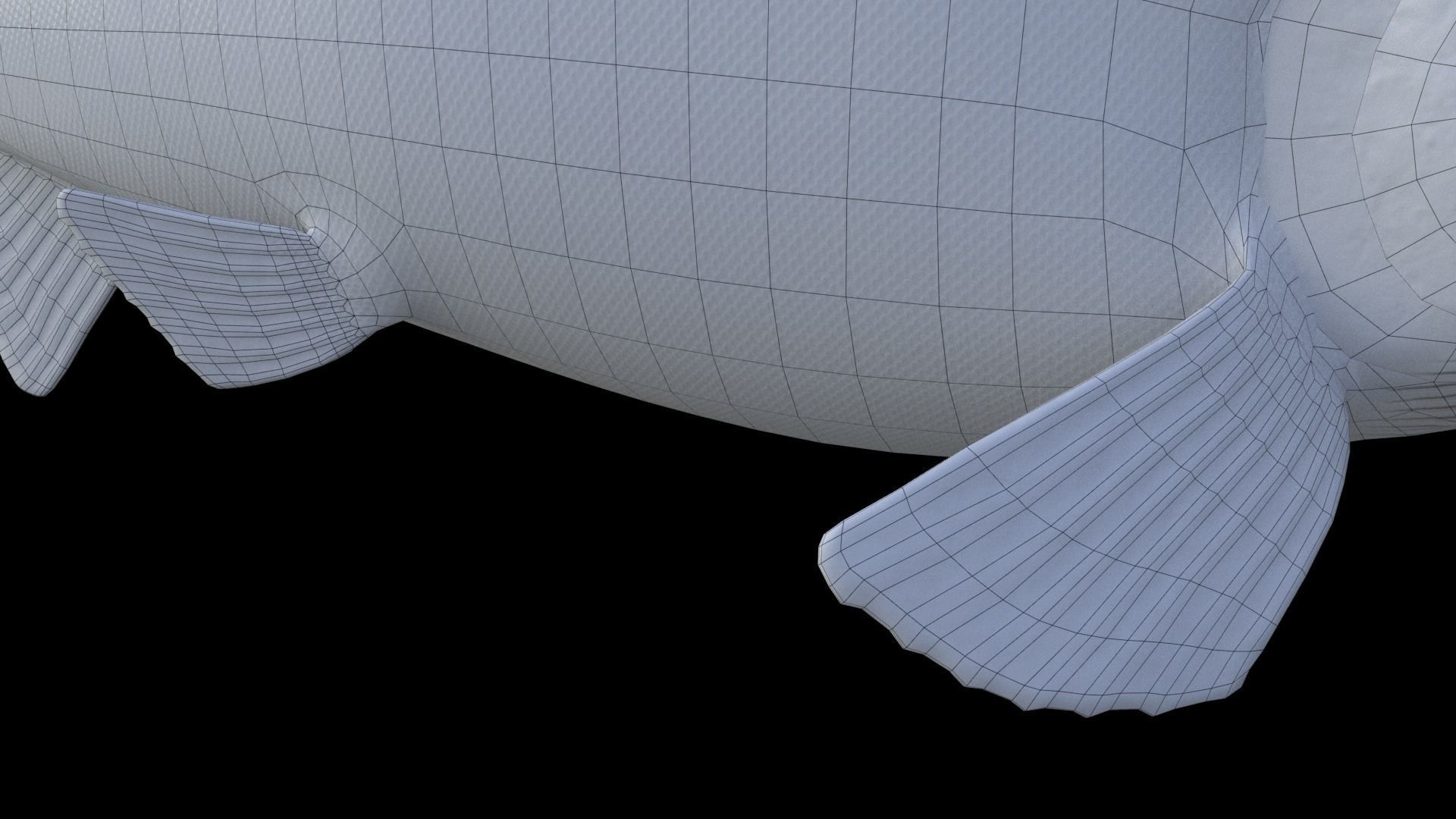 Oncorhynchus Nerka - The Red Sockeye Salmon Static 3D model_6