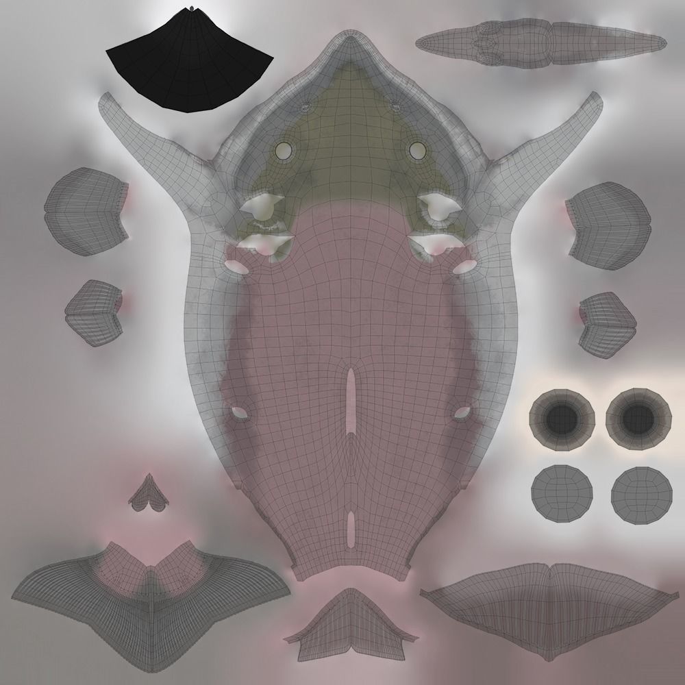 Oncorhynchus Nerka - The Red Sockeye Salmon Static 3D model_12