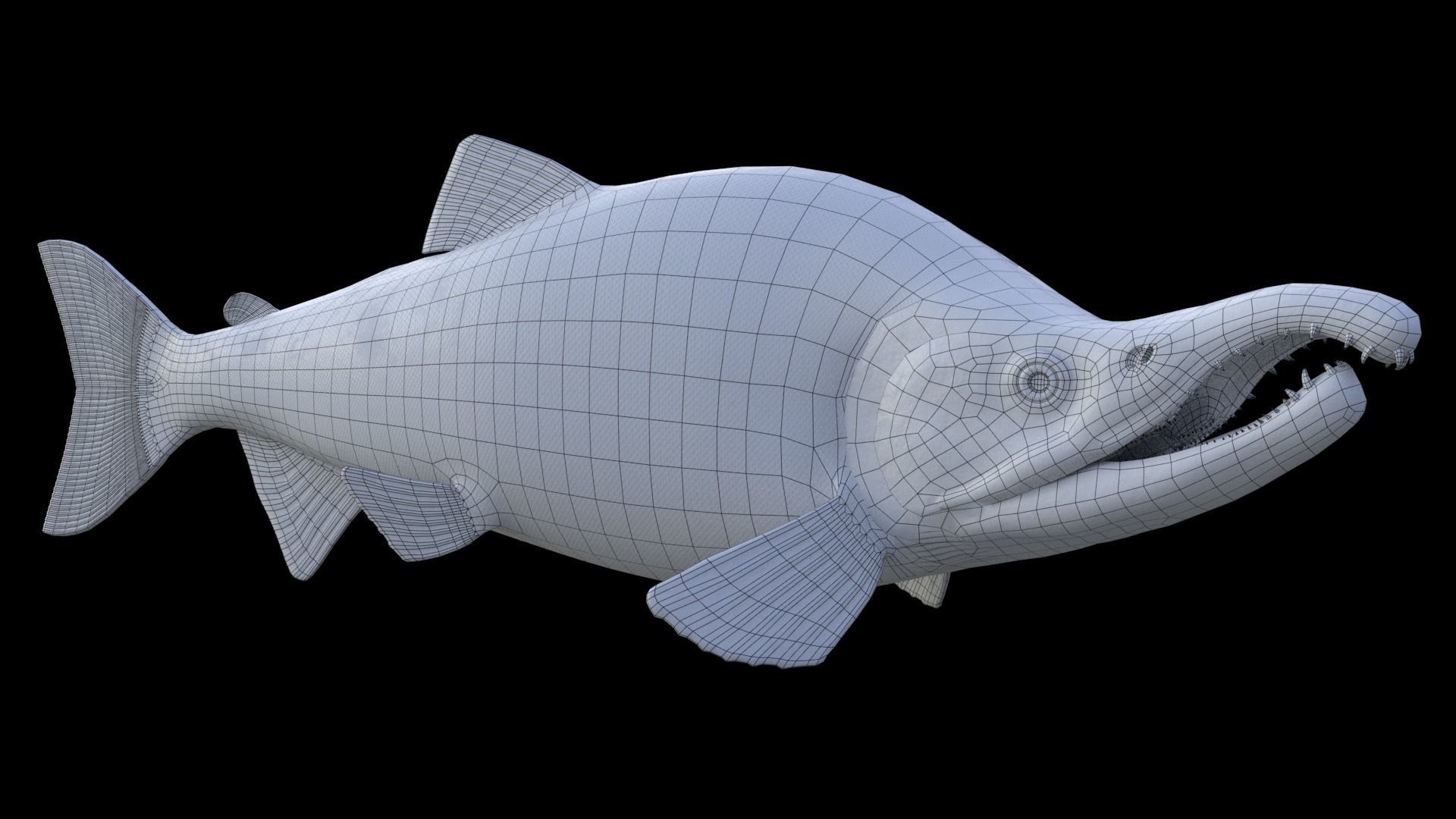 Oncorhynchus Nerka - The Red Sockeye Salmon Static 3D model_2