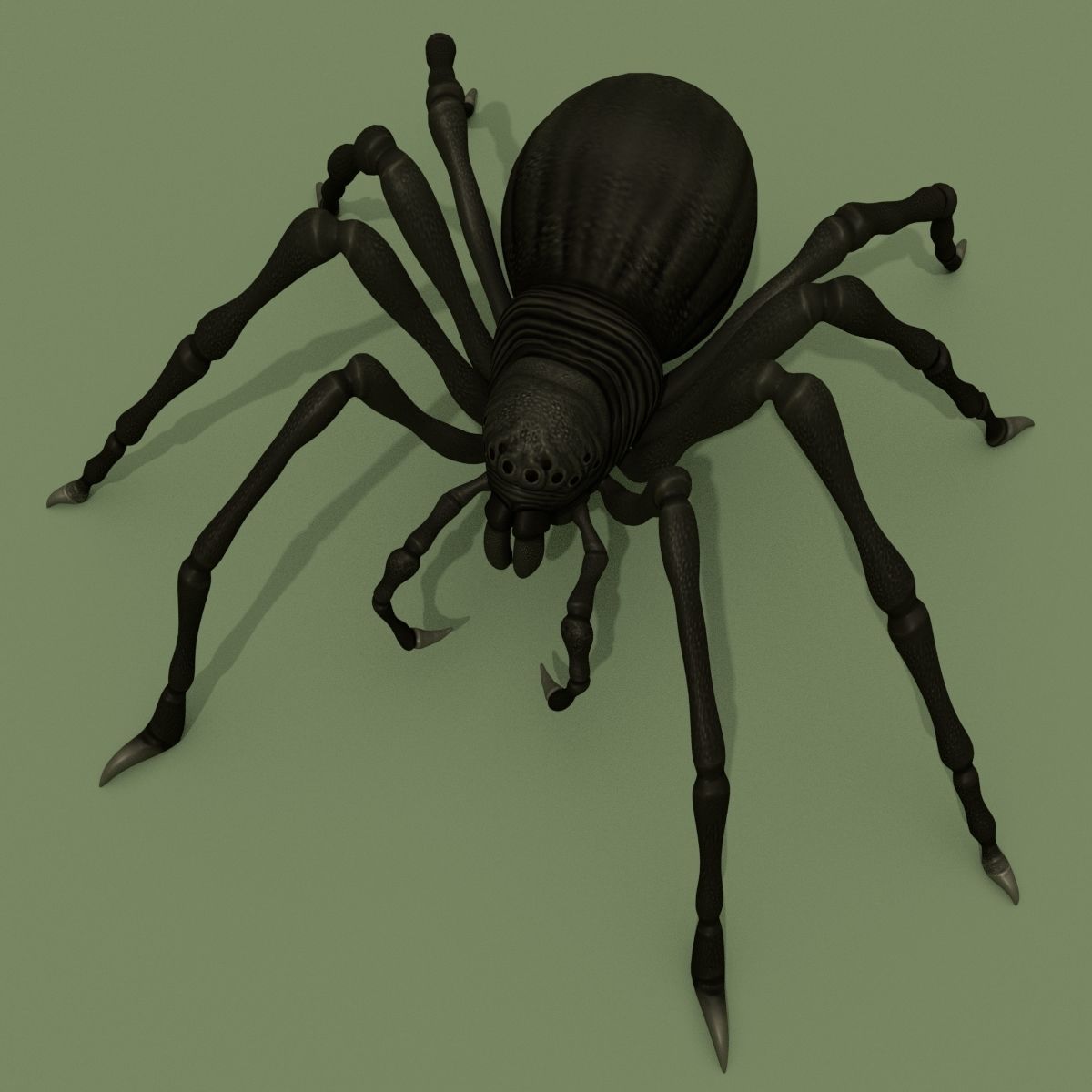 Fantasy Spider 3D model_10
