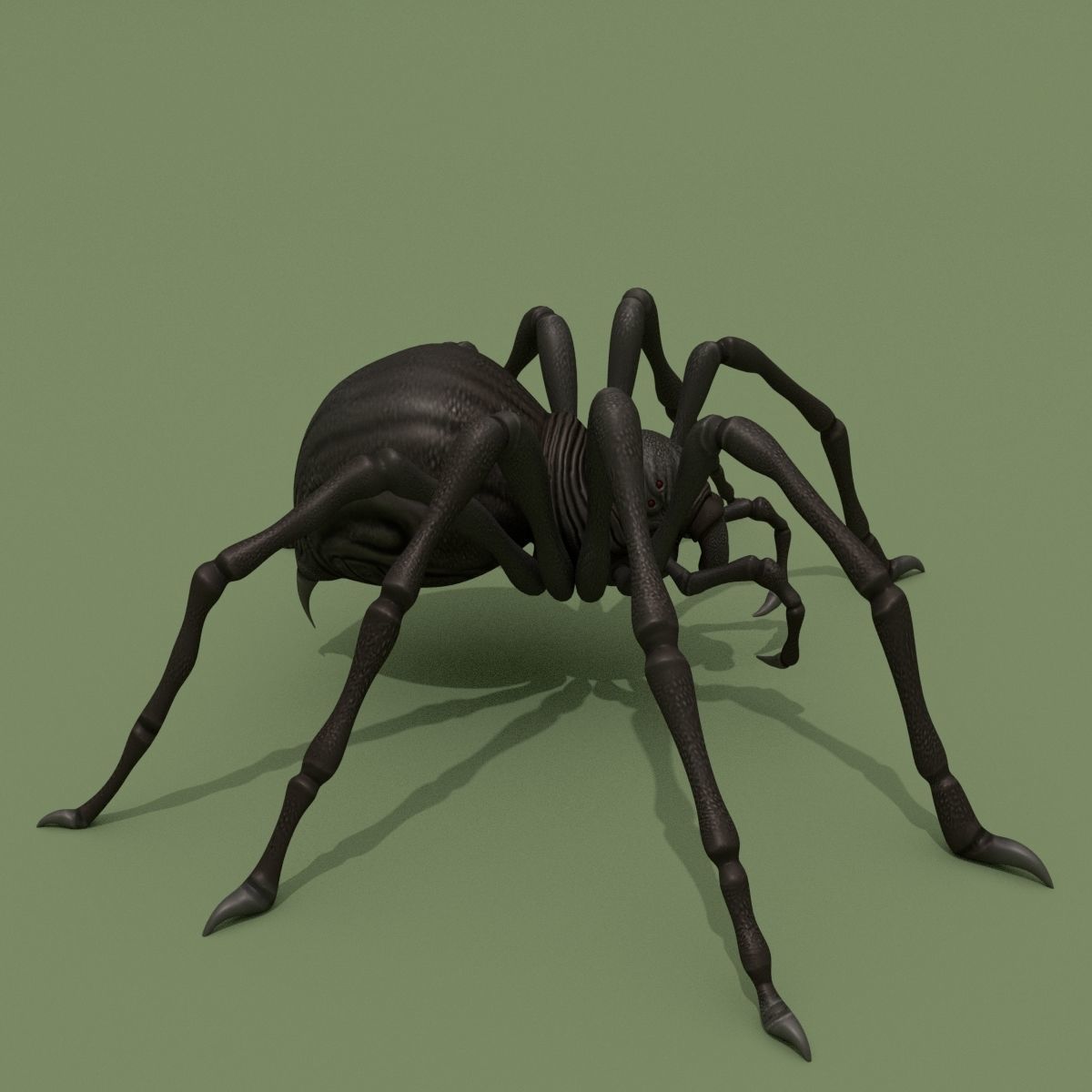 Fantasy Spider 3D model_4