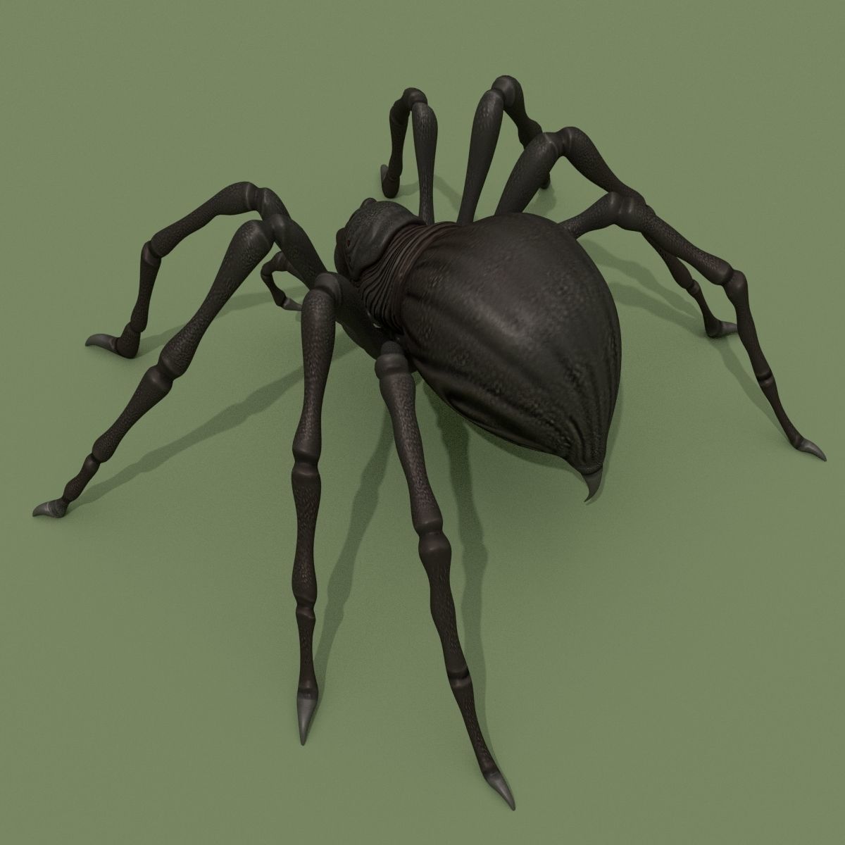 Fantasy Spider 3D model_1