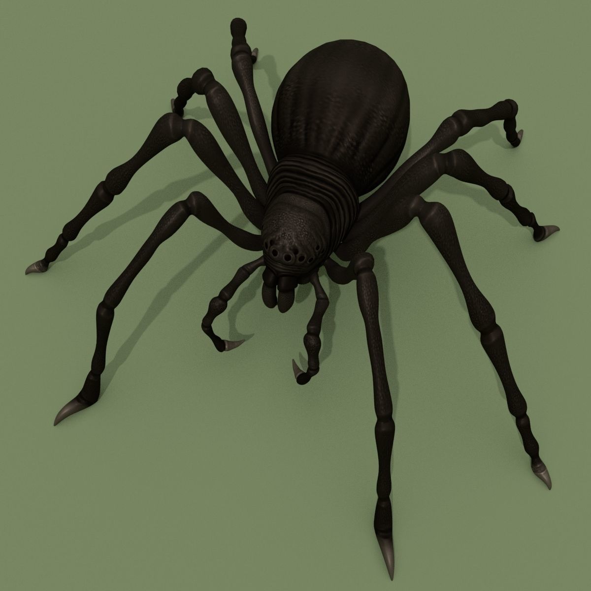 Fantasy Spider 3D model_12