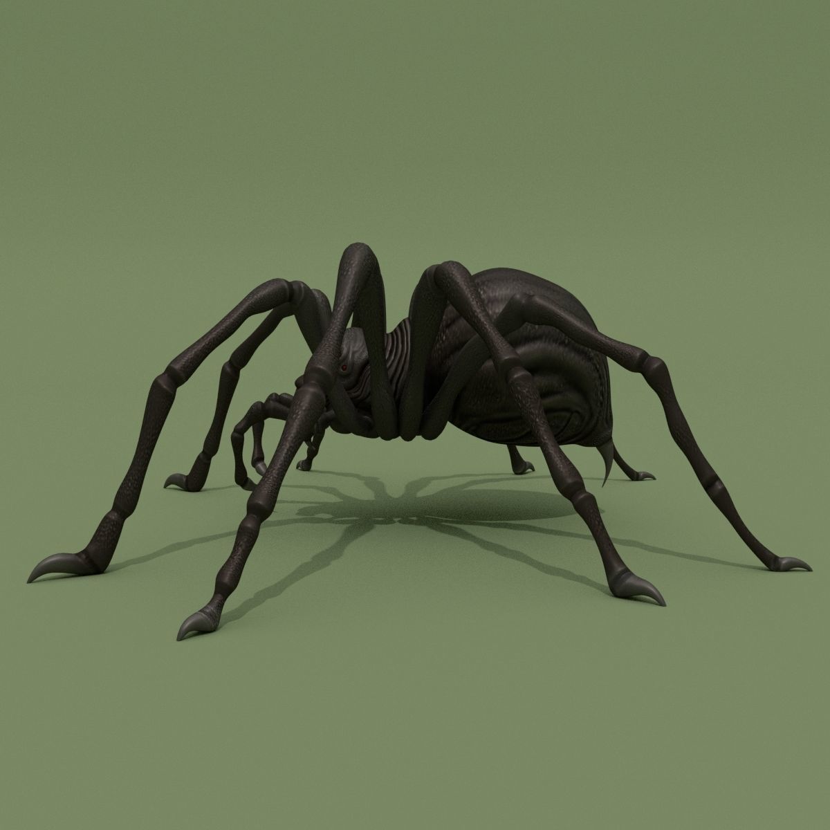 Fantasy Spider 3D model_5