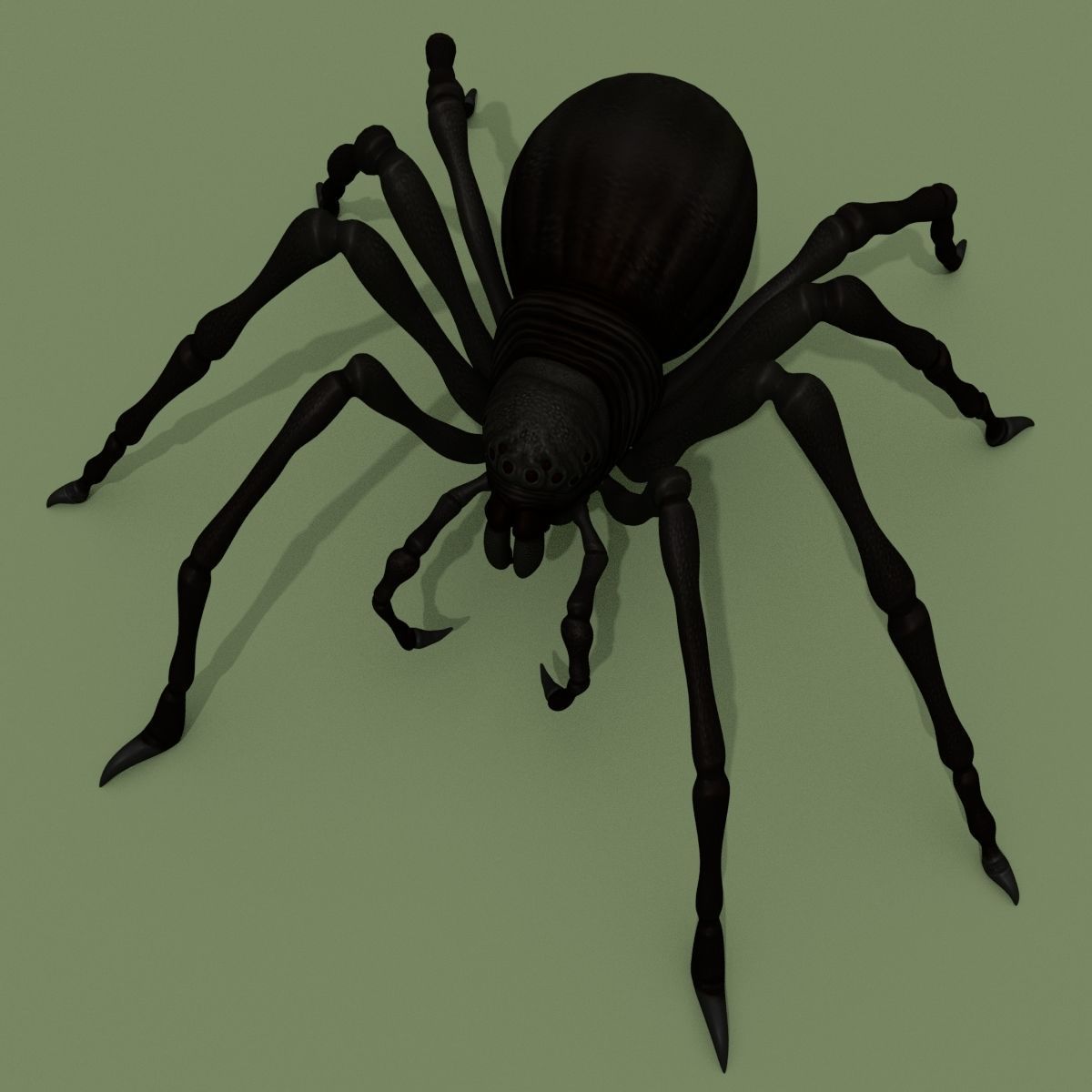 Fantasy Spider 3D model_7