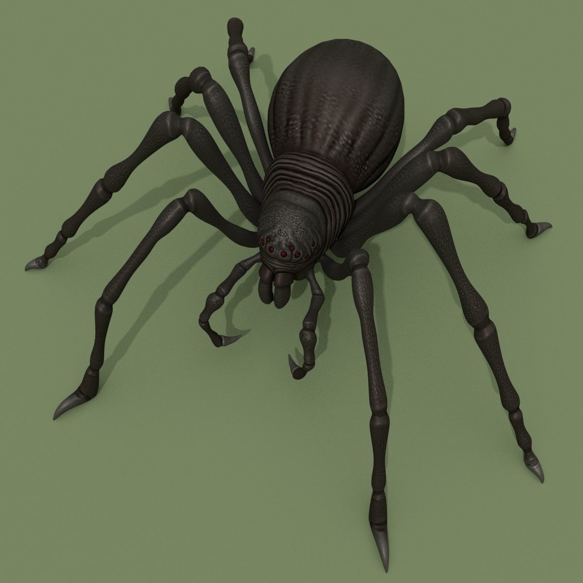 Fantasy Spider 3D model_8