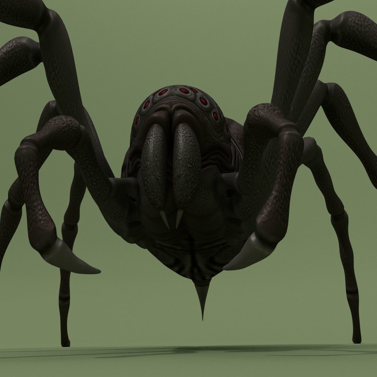 Fantasy Spider 3D model_2