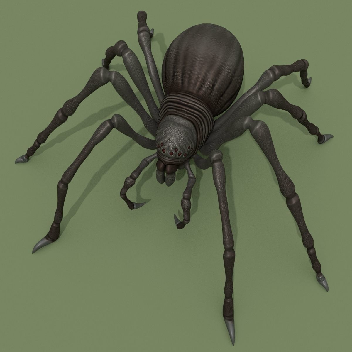 Fantasy Spider 3D model_9