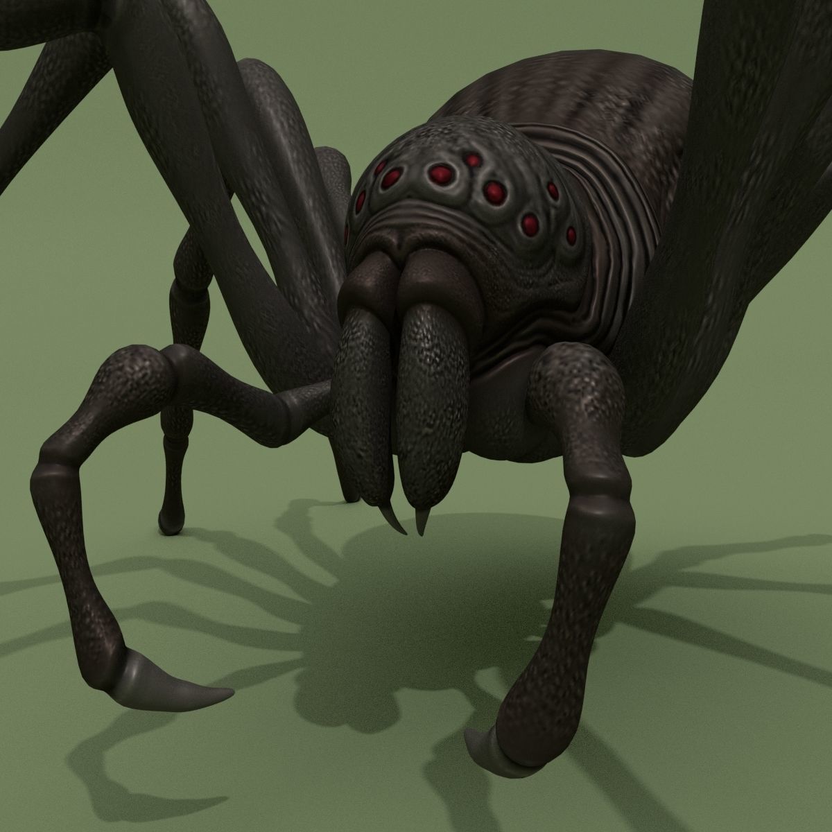 Fantasy Spider 3D model_3