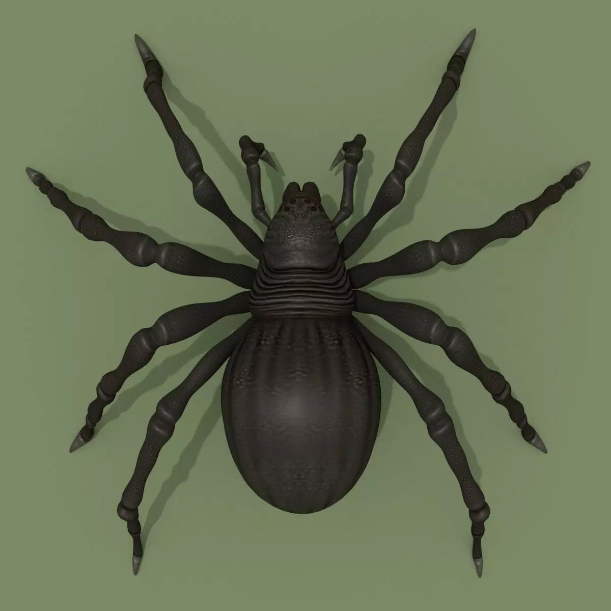Fantasy Spider 3D model_0