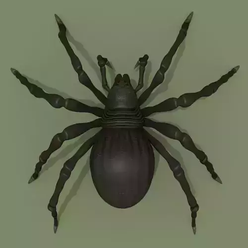 Fantasy Spider