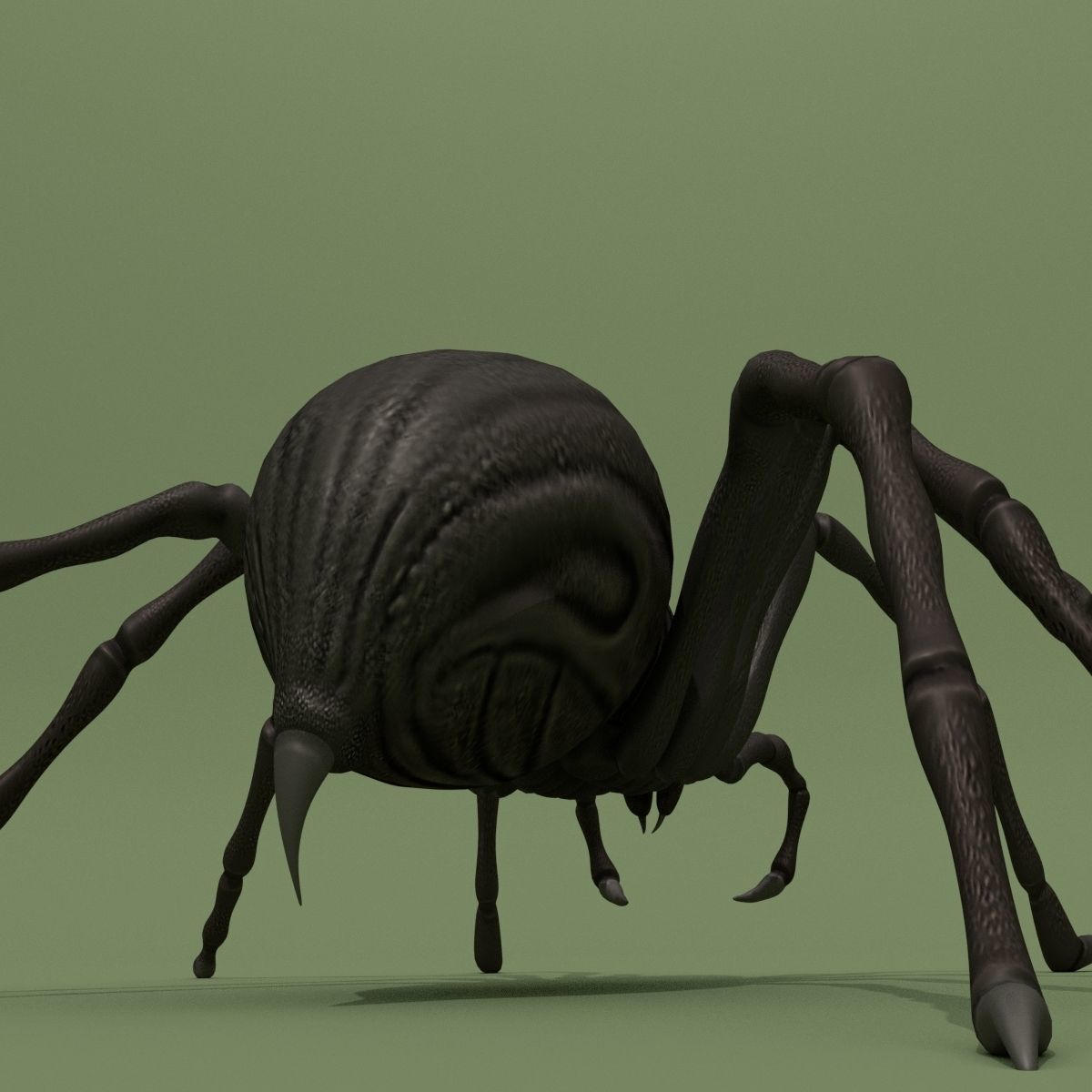 Fantasy Spider 3D model_6