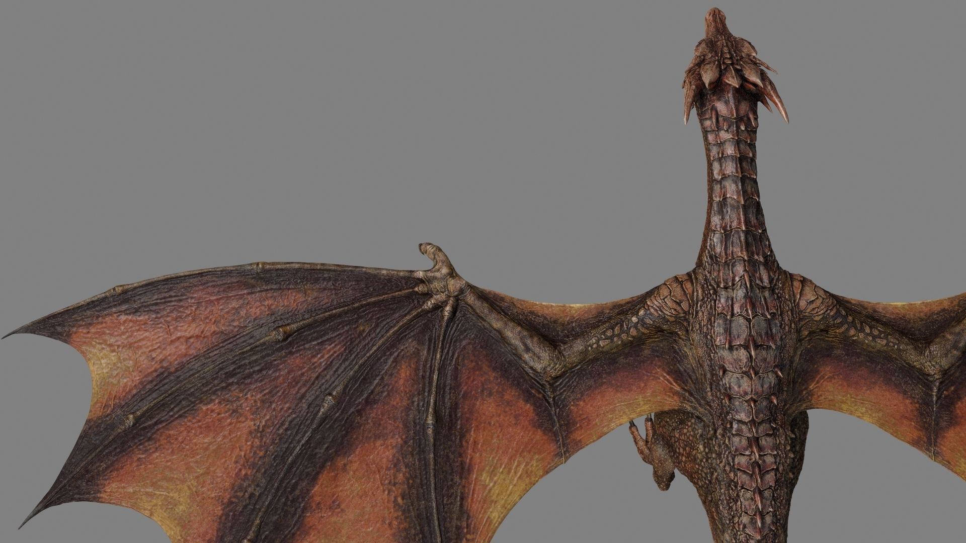 Dragon Animations Low-poly 3D model_3