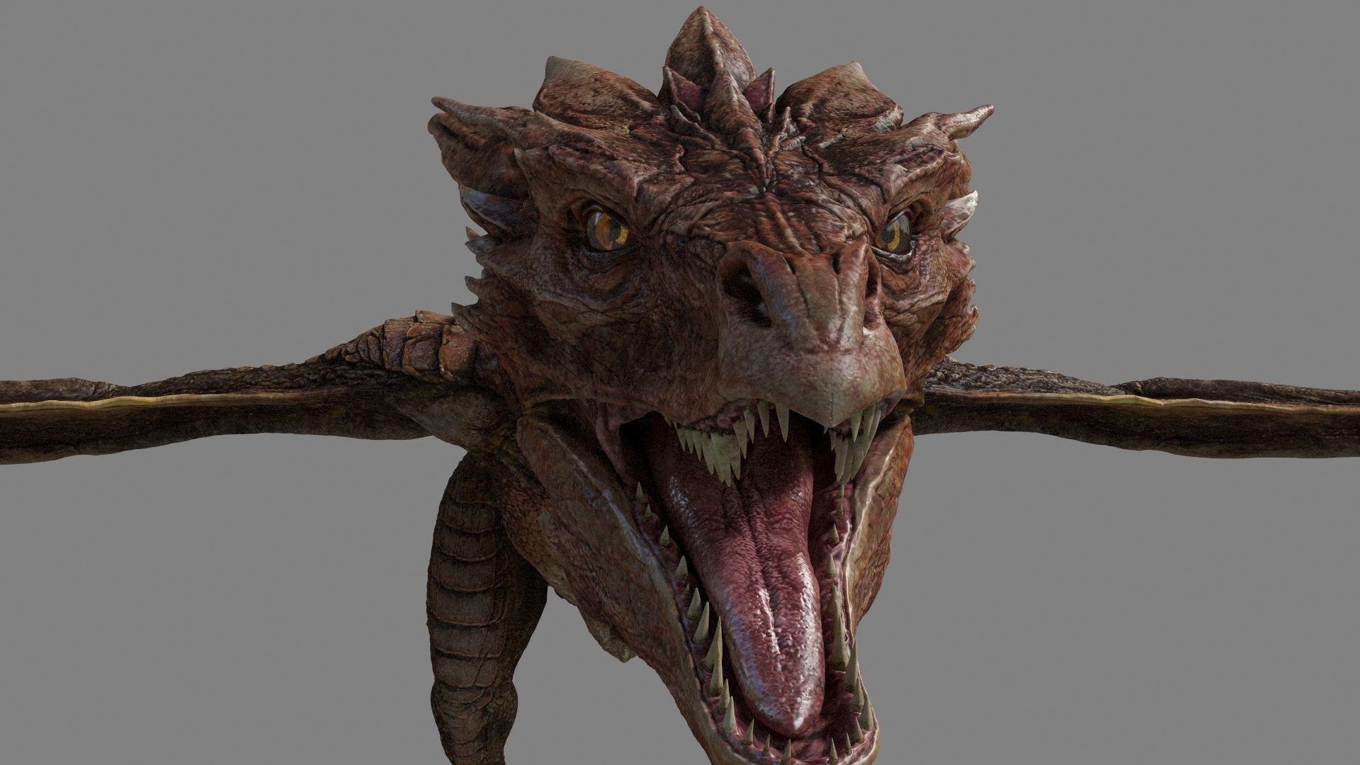 Dragon Animations Low-poly 3D model_8