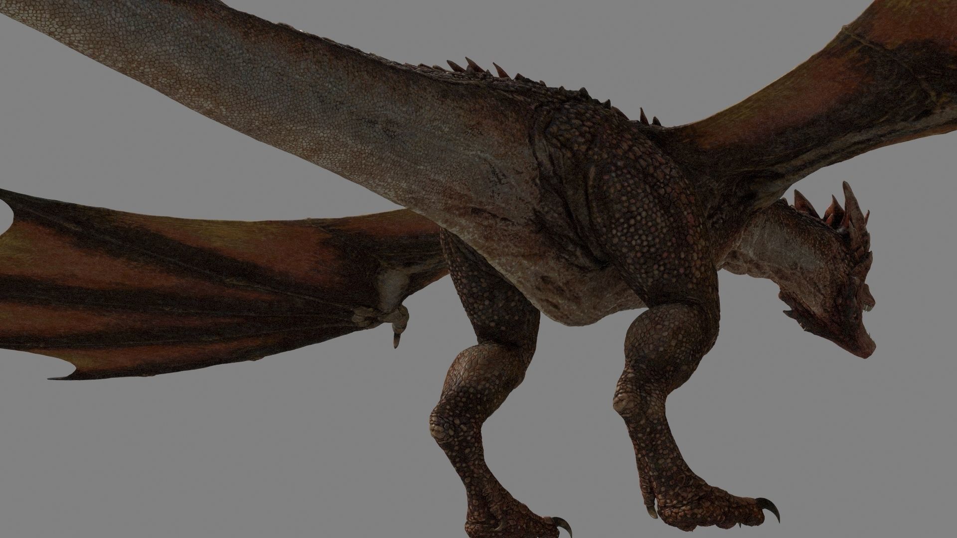 Dragon Animations Low-poly 3D model_4