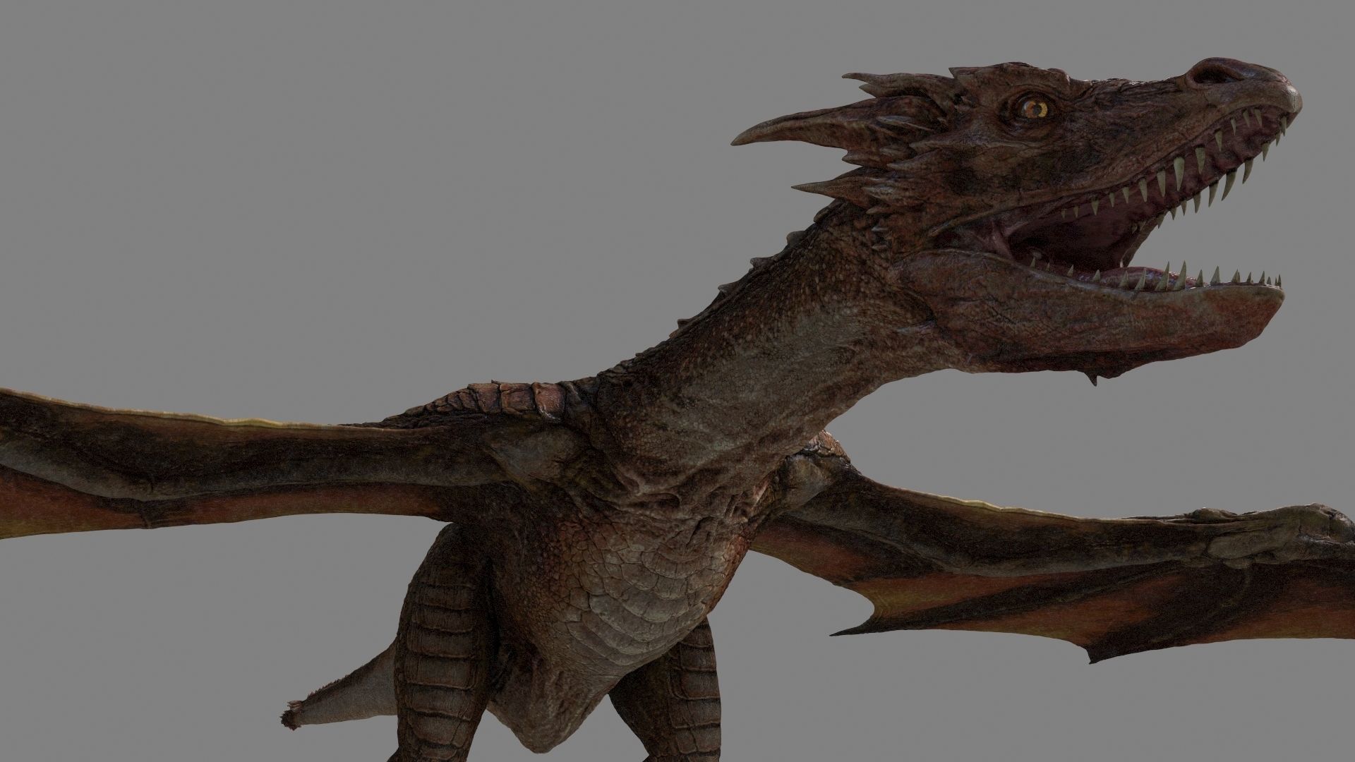 Dragon Animations Low-poly 3D model_16