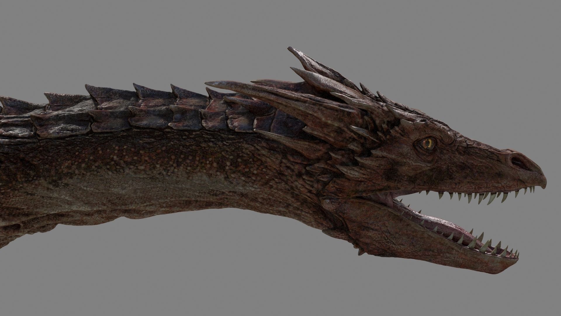 Dragon Animations Low-poly 3D model_5