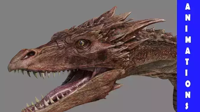 Dragon Animations Low-poly 3D model