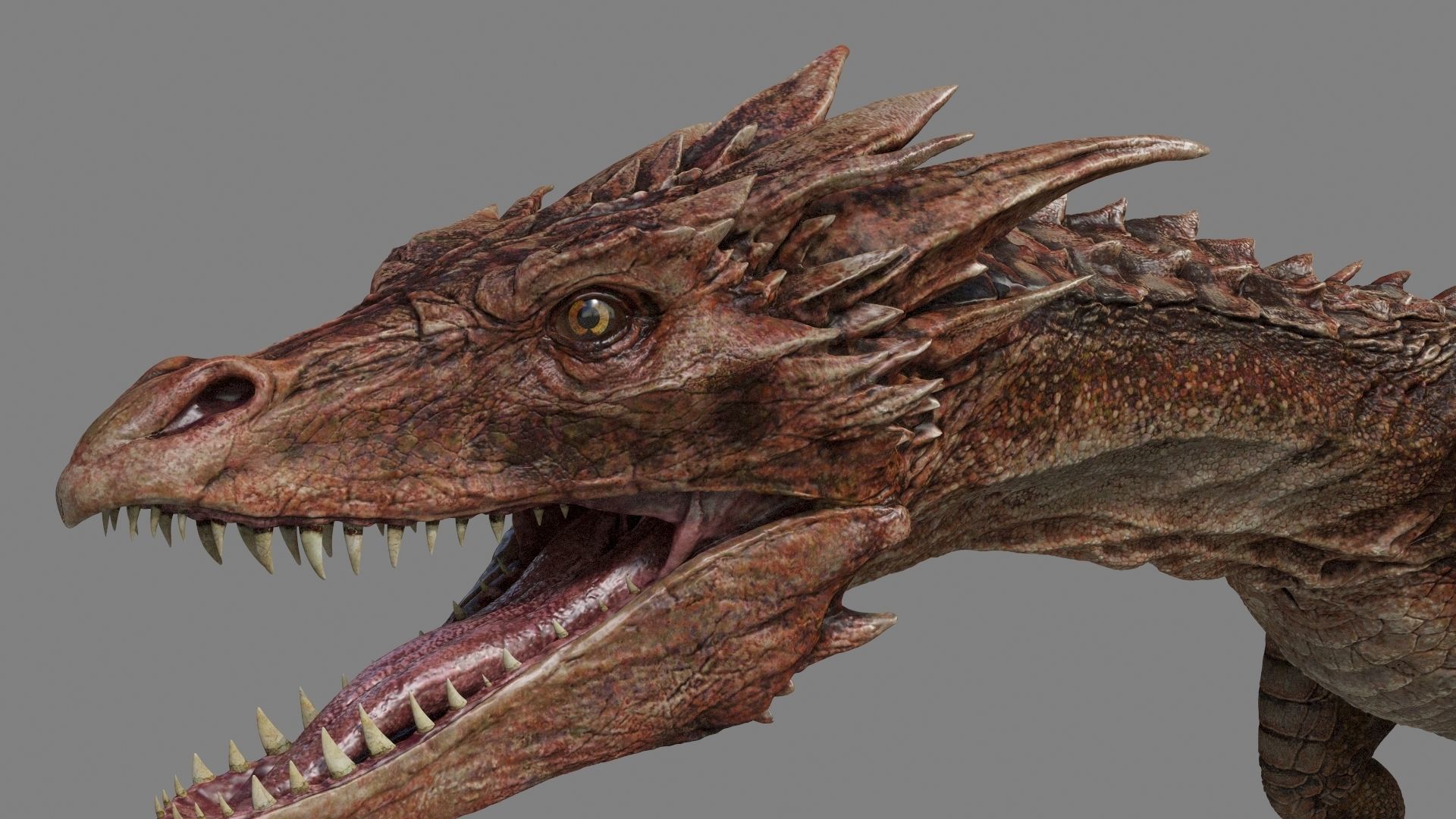 Dragon Animations Low-poly 3D model_6
