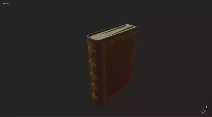 Rustic Medieval House Asset - Book