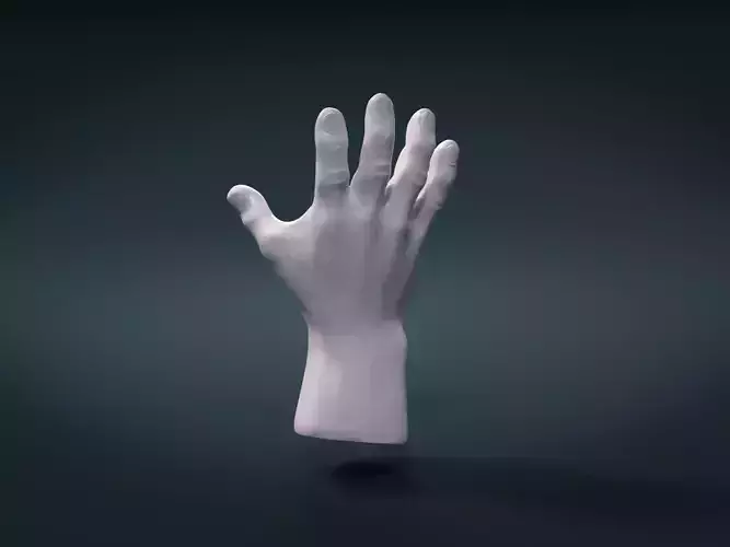 High Poly Hand