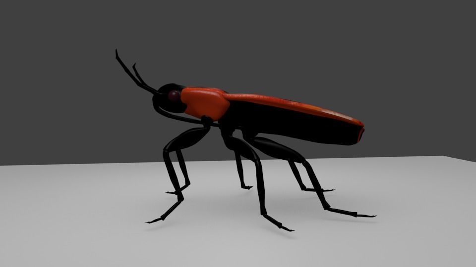 Pyrrhocoris apterus - Chinche roja 3D model_3