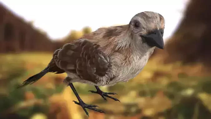 sparrow bird flying in sky