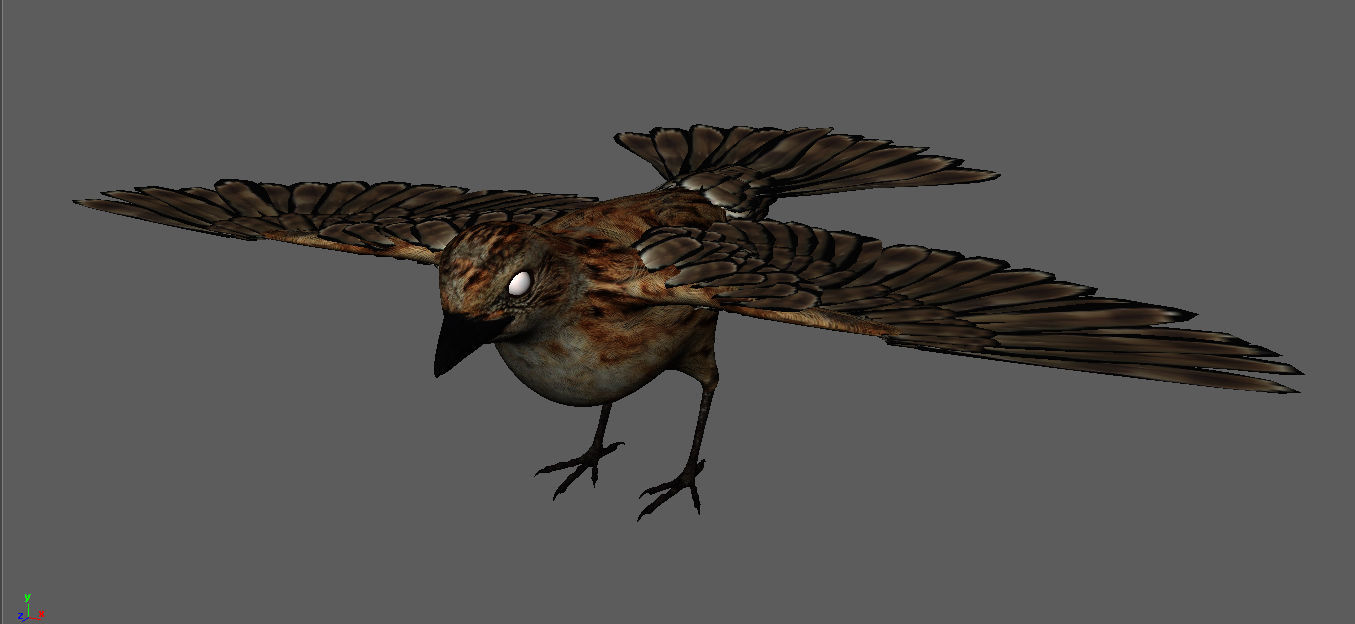sparrow bird flying in sky 3D model_8