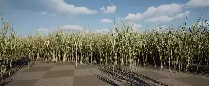 Realistic Optimized Reed Pack Low-poly 3D model