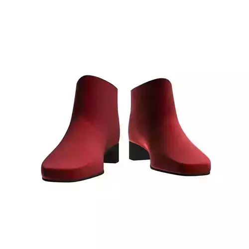 Chelsea boots woman 001