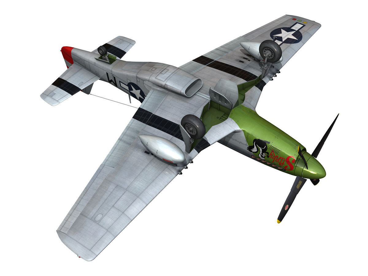 North American P-51D Mustang - Stinky 3D model_17