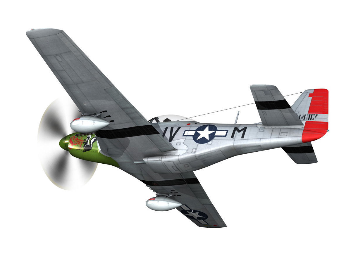 North American P-51D Mustang - Stinky 3D model_5