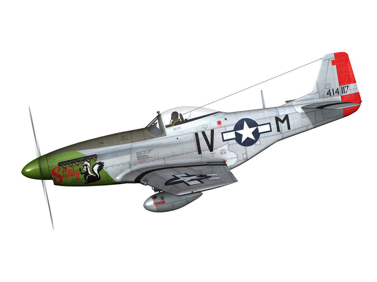 North American P-51D Mustang - Stinky 3D model_1