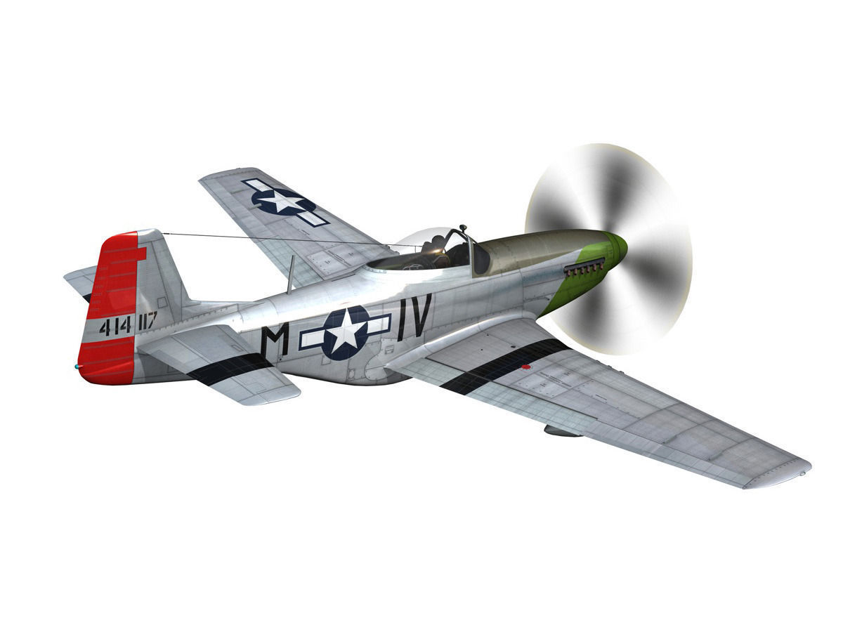 North American P-51D Mustang - Stinky 3D model_7