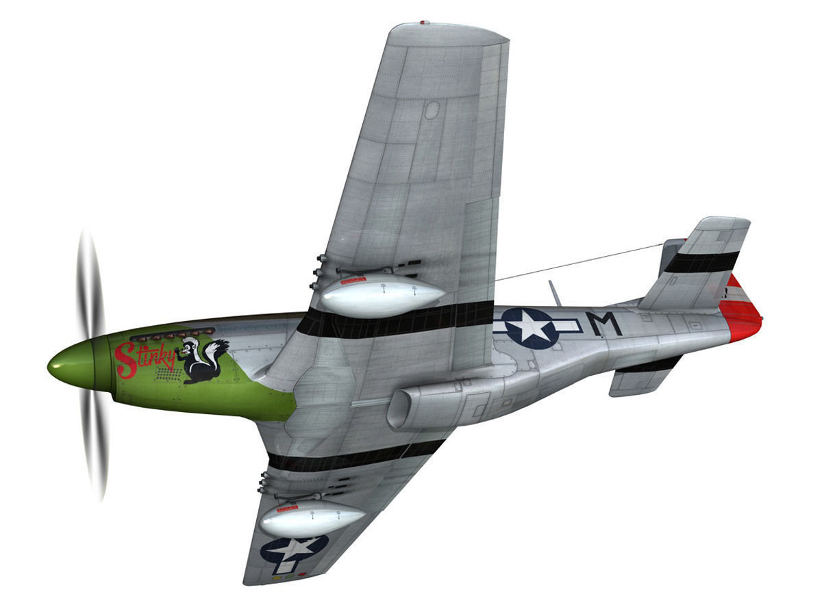 North American P-51D Mustang - Stinky 3D model_2