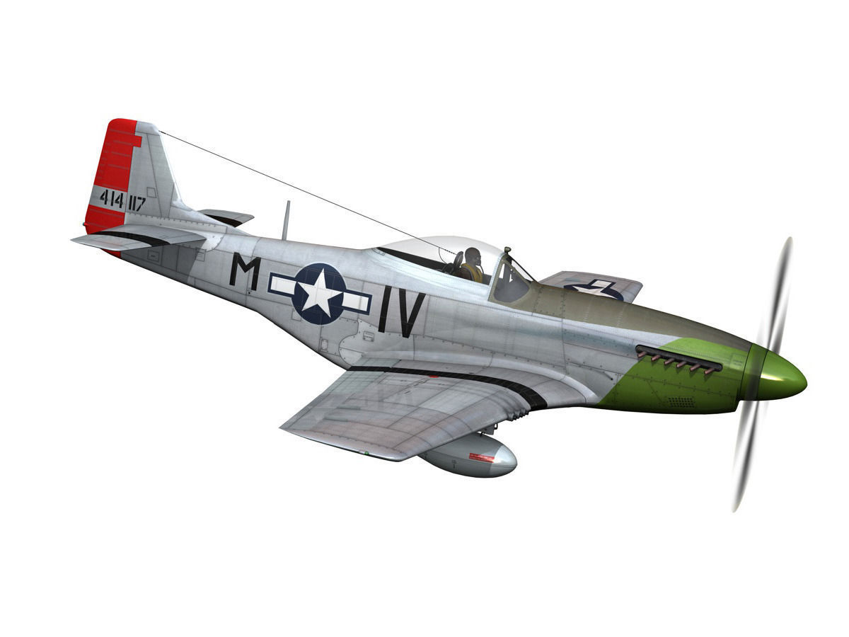 North American P-51D Mustang - Stinky 3D model_8