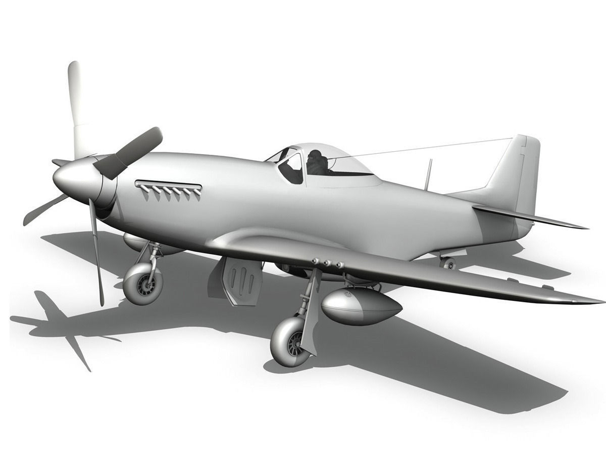 North American P-51D Mustang - Stinky 3D model_18