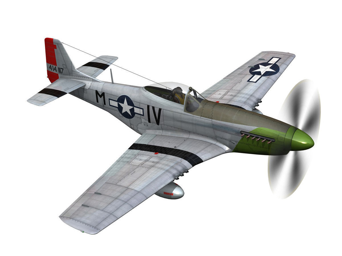 North American P-51D Mustang - Stinky 3D model_6