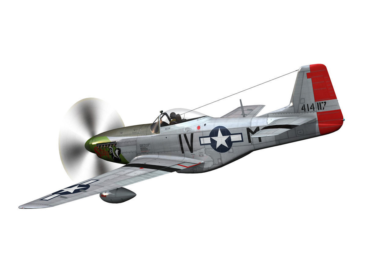 North American P-51D Mustang - Stinky 3D model_4