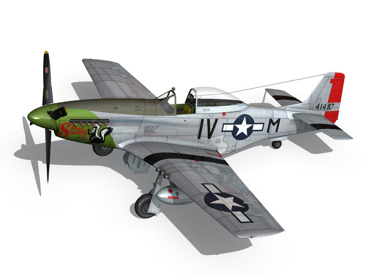 North American P-51D Mustang - Stinky 3D model_10