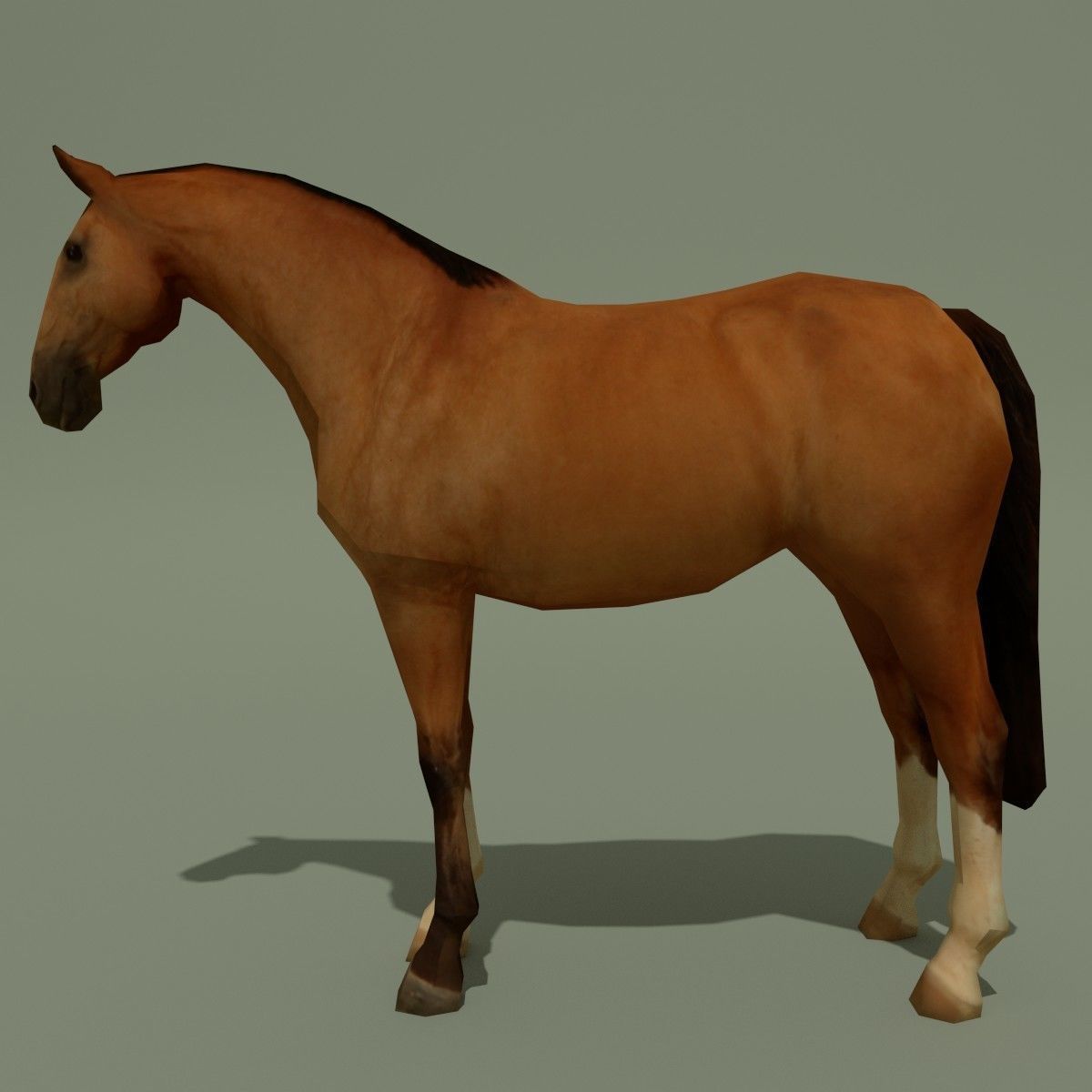 LowPoly Horse A Buckskin Low-poly 3D model_1