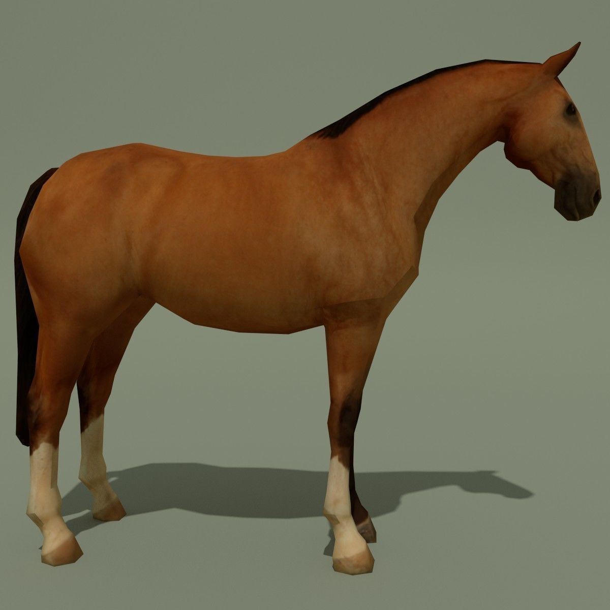 LowPoly Horse A Buckskin Low-poly 3D model_3