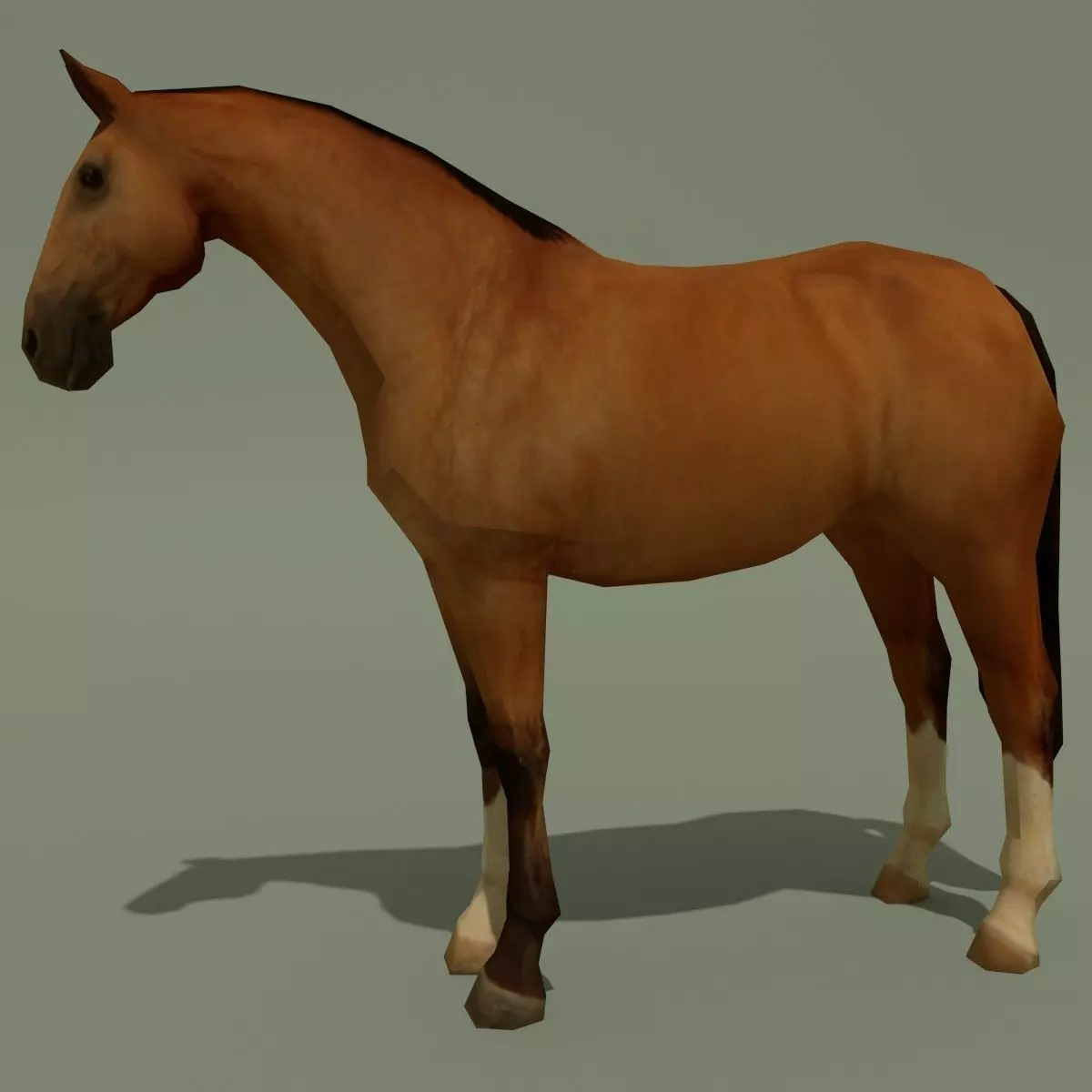 LowPoly Horse A Buckskin Low-poly 3D model_0