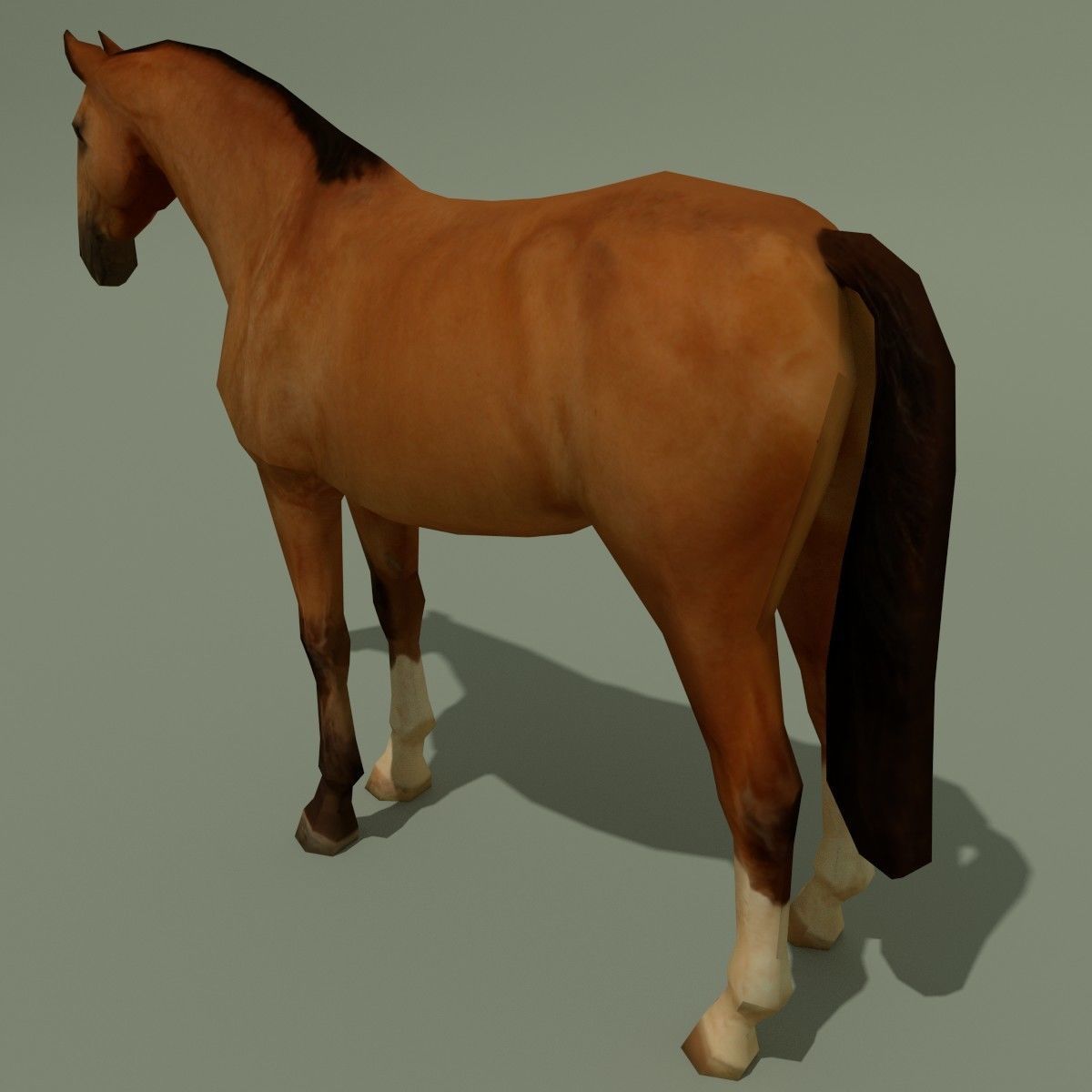 LowPoly Horse A Buckskin Low-poly 3D model_4