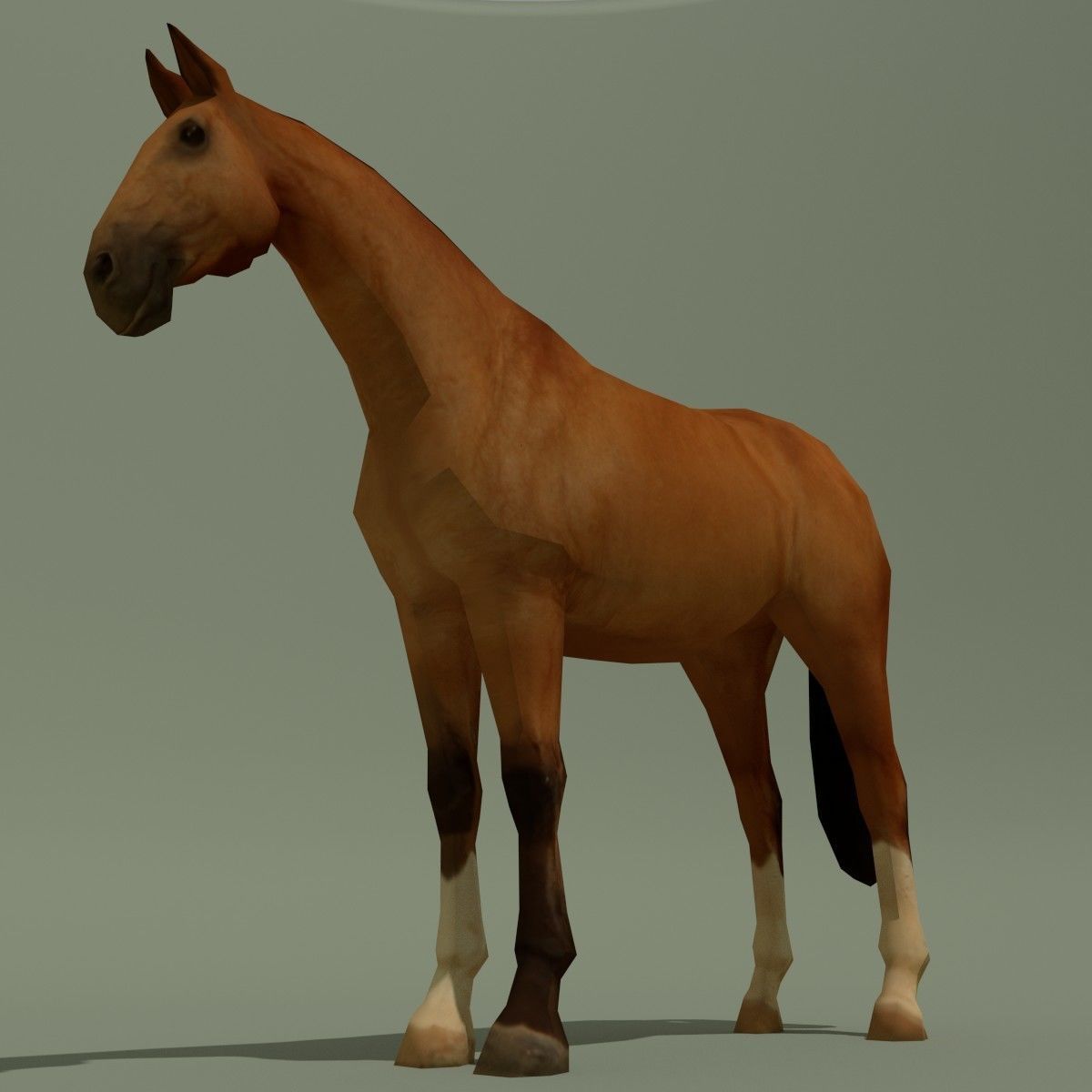 LowPoly Horse A Buckskin Low-poly 3D model_2