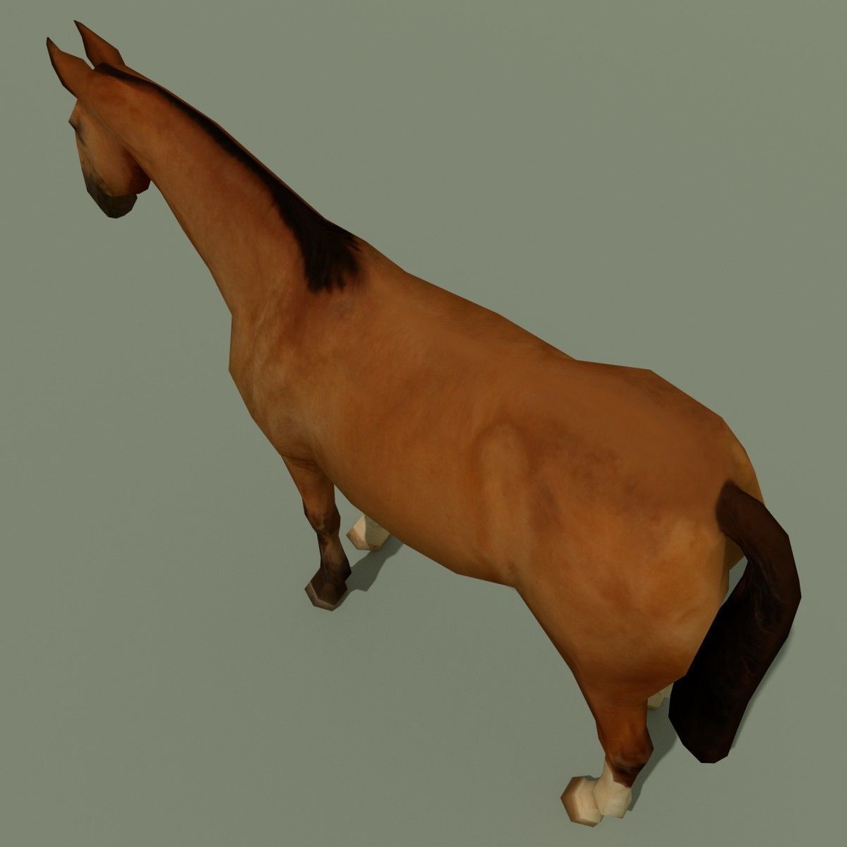 LowPoly Horse A Buckskin Low-poly 3D model_5