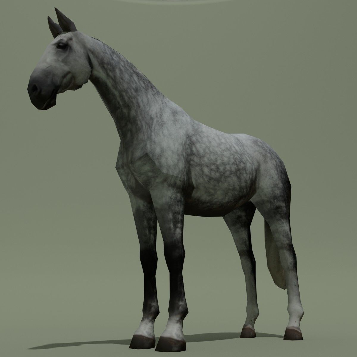 LowPoly Horse B Dapple grey Low-poly 3D model_3
